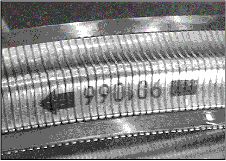 520065657_graphic-text22B